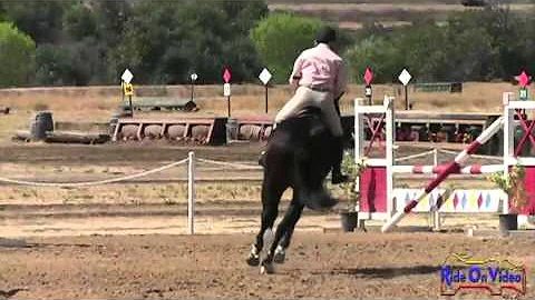 200S Carol Lankford-Gross SR Novice Rider Stadium ...