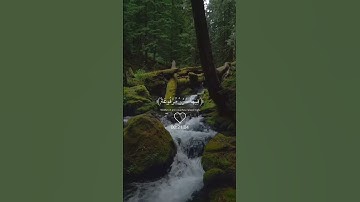 {فِي جَنَّةٍ عَالِيَةٍ لّا تَسْمَعُ فِيهَا لاغِيَةً…} سورة الغاشية - الآية 11 #allah #quran ♥️♥️