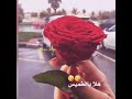 ياهلا بالغالي يوم الله جابه