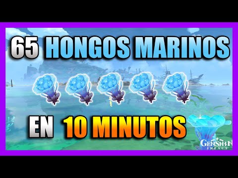 Video: ¿Hay hongos marinos?