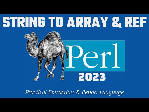 Perl Programming - String To Array + Ref 2023