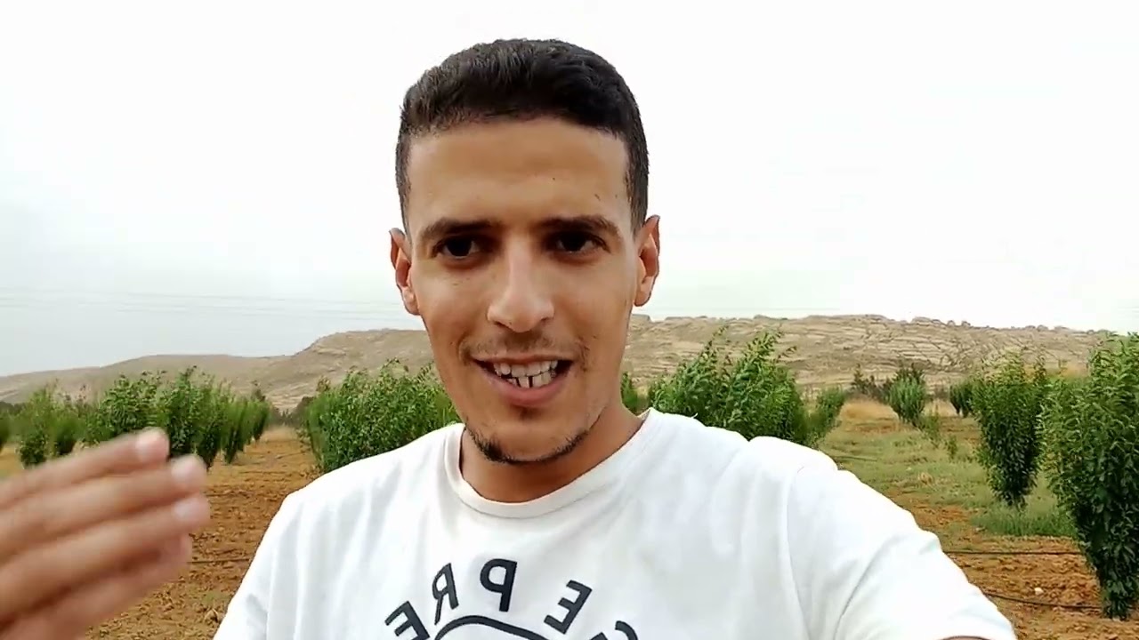 #انشاء_مزارع_بساتين_البرقوق 🫐🌿