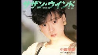 Southern Wind (Vent du sud) Akina Nakamori sous-titre français 中森明菜　サザンウインド
