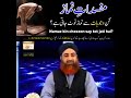 جن سے نماز ٹوٹ جاتی ہے مفتی محمد اکمل رضا قادری صاحب 