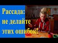 Основные ошибки при посеве на рассаду