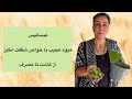 فیسالیس میوه عجیب با خواص شگفت انگیز از کاشت تا مصرف