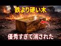 この木材はチェーンソーの刃を壊す。コンクリートより硬く、100年以上腐らない――なぜ業界全体がこの木を消そうとしたのか
