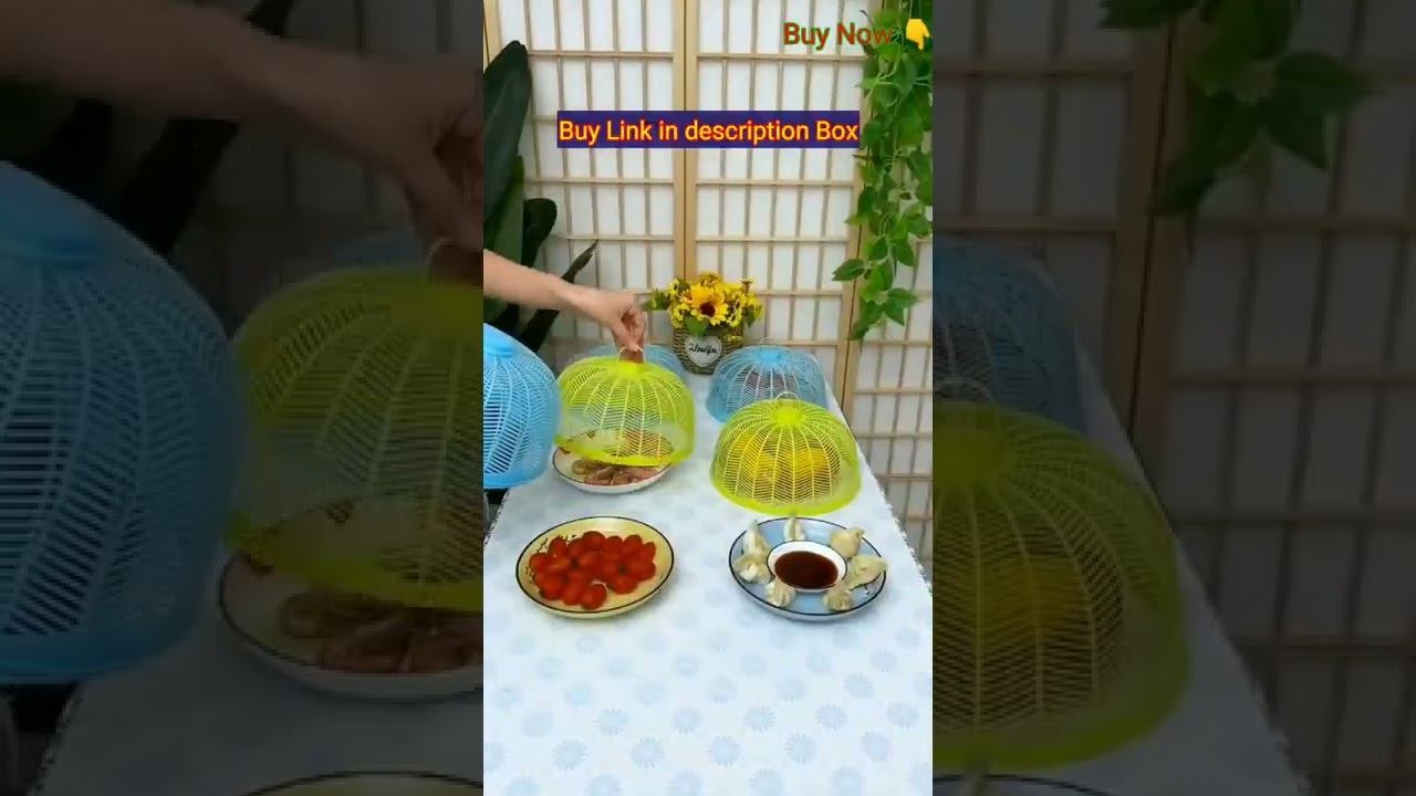 Round Plastic Net 10 Inch Food Cover Kitchen Table Flies Mosquitoes Insect Proof Dining || 