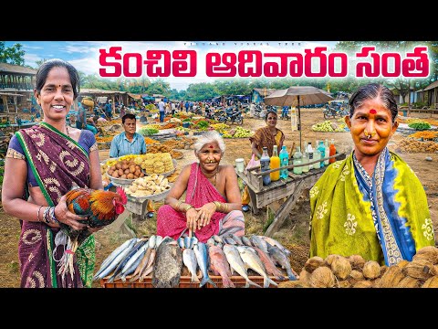 ఈ సంత కి ఒరిస్సా నుండి కూడా వస్తారు || kanchili santha