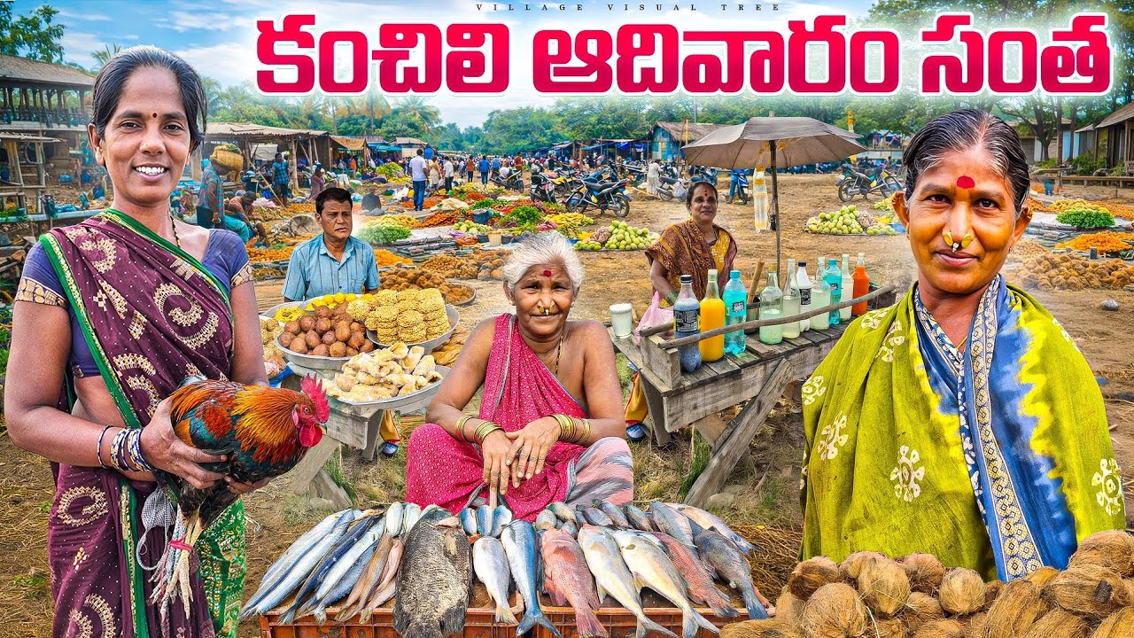 ఈ సంత కి ఒరిస్సా నుండి కూడా వస్తారు || kanchili santha