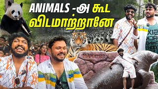 சிங்கம் Road-ல படுத்துட்டு இருக்கு😱 மரண Fun Jungle Safari World 🦁🐊 | Vj Siddhu Vlogs