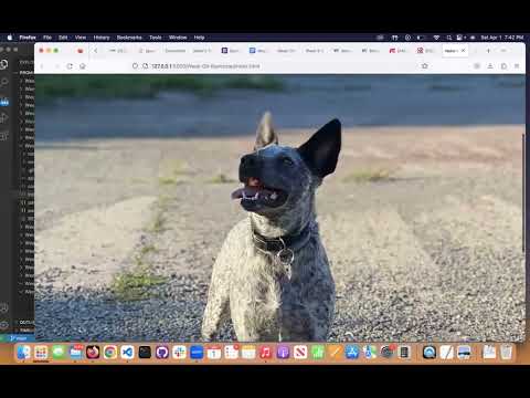 Week 9 -  Bootstrap Coding Assignment