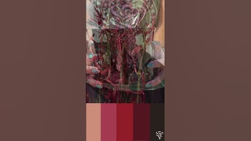 Red Wedding and Events Color Palette!