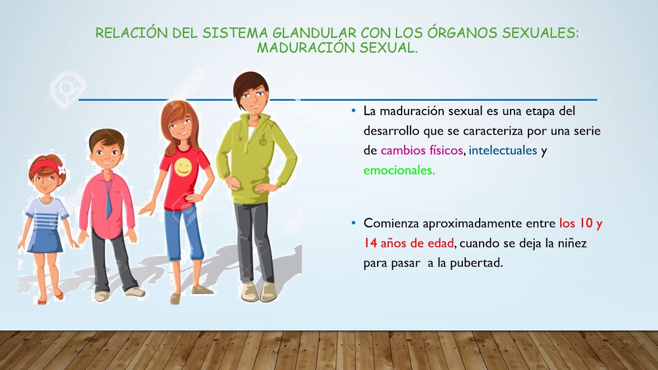 Funcionamiento De Los Aparatos Sexuales Y El Sistema Glandular 1 - YouTube