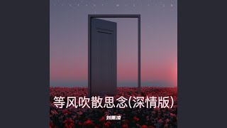 等风吹散思念(DJ女版)
