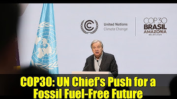 COP30: UN Chief