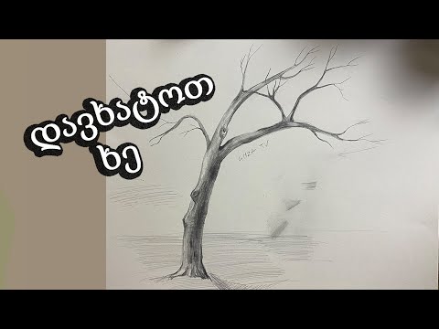 როგორ დავხატოთ ხე ფანქრით/შუქჩრდილებით ხატვა/How to drawing tree with pensil