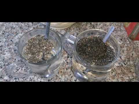 الفرق بين بذور الشيا وبذور الريحان شراب البلنگو