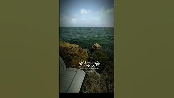 { أَيْنَمَا تَكُونُوا يُدْرِككُّمُ الْمَوْتُ}#سوره_النساء#الشيخ_سيد_سعيد #تلاوه_خاشعه_وراحه_نفسيه