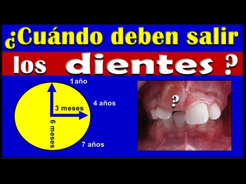 CHRONOLOGY OF TEMPORARY AND PERMANENT DENTAL ERUPTION