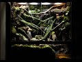 나의 작은 서식지 비바리움 | My Little Habitat Vivarium | MONAMI X BIOTOPE GALLERY