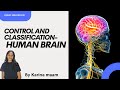 Human Brain 🔥 | Control and Coordination | Classification | NEET Biology | Karina Ma’am#HumanBrain