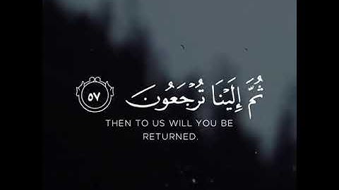 كل نفس ذائقه الموت /حالات واتس اب /تلاوة خاشعة القارئ عبد الرحمن مسعد