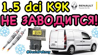 НЕ ЗАВОДИТСЯ Renault Kangoo 1.5 dci. Кенго 2 не заводится. Кенго 3.Ситан. Renault engine can’t start