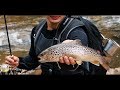Trout fishing in the Carpathians (day 4 - Big Trout)