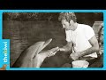 The sad end of the dolphin who played flipper