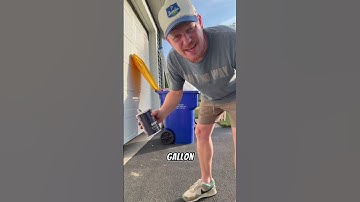 If you have flies in your trash try this 🤯 #wow (withlove_tere)