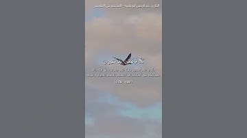 سورة التكاثر روعه #duet #رمله #العظماء #دويتو #الثامن #اكسبلور #تيك_توك #حالات_واتس #الرحمن #duo