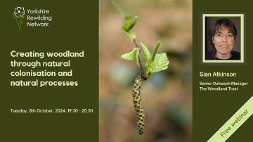 Creating woodland through natural colonisation and natural processes