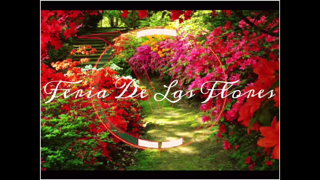 Las caleñas son como las flores Las caleñas son como las flores