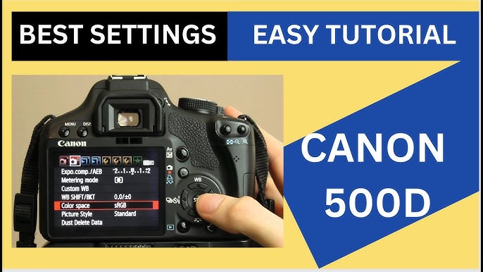 Is Canon 500D still relevant? (Review ENGLISH) Image & Video Test 
