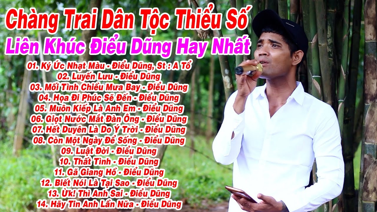 Liên Khúc Điểu Dũng Hay Nhất | Ký Ức Nhạt Màu, Luyến Lưu - Điểu Dũng, St : A Tổ | Chàng Trai Dân Tộc
