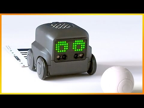 Video: Wat is Boxer de robot?