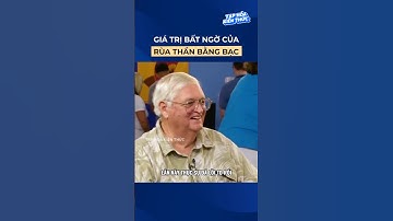 Giá trị bất ngờ của rùa thần bằng bạc #shorts