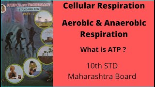 Cellular Respiration | Aerobic & Anaerobic Respiration | 10th Std Maharashtra Board | Semi English