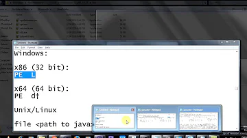 Wie finde ich heraus ob Java 32 oder 64?