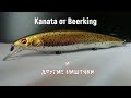 Kanata от Beerking супер воблер. Каната от беркинг и другие ништяки . Обзор плюс тест на воде .