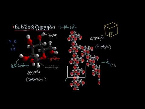ნახშირწყლების შესავალი