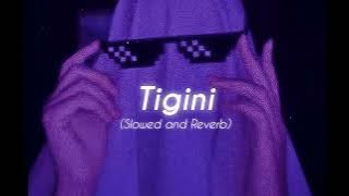 Tigini ( Slowed   Reverb ) ☆