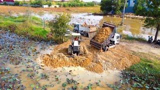 Begin fresh endeavor! KOMATSU D2P Bulldozer clearing land to remove pond Push soil, empty the truck