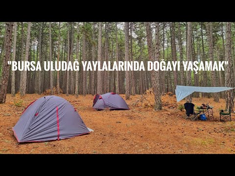 BURSA KOCAYAYLA DA