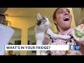 What's in your fridge? FOX 8 joins the viral trend