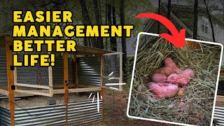 Why We Broke Up Our Rabbit Colony [Lessons Learned and New Strategy] by Kummer Homestead 301 views 14 hours ago 10 minutes, 48 seconds