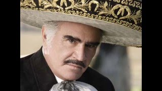 Que Bonito Amor - Vicente Fernandez chords