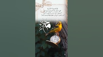 القران الكريم راحه نفسية 😌🤍 سبحان الله وبحمده سبحان الله العظيم