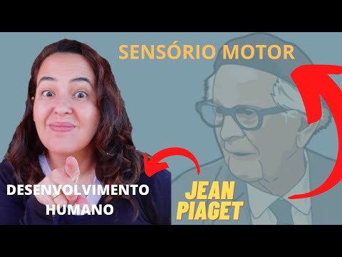 Vídeo: O que é inteligência sensório-motora?